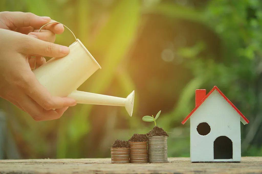 中國農業(yè)供應鏈金融及市場進入策略研究報告