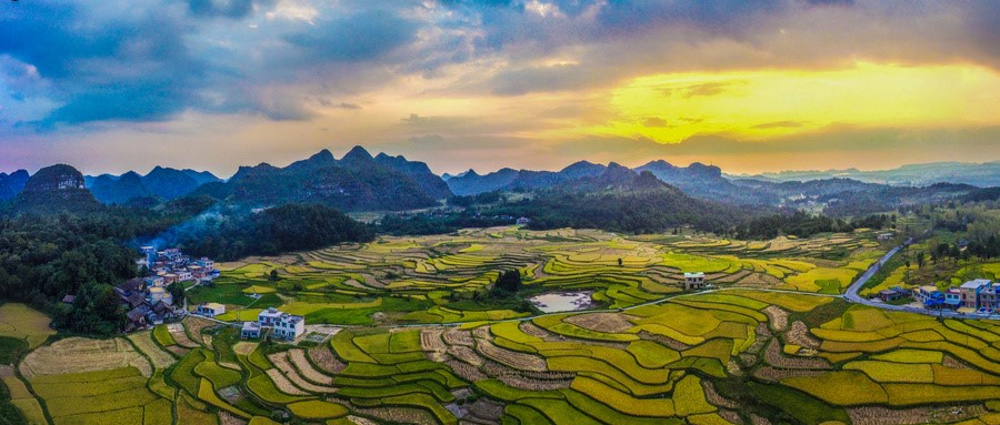 窺見未來農(nóng)產(chǎn)品發(fā)展五大趨勢，縣域是未來農(nóng)業(yè)品牌建設(shè)的主戰(zhàn)場