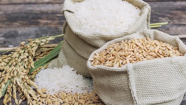 聯(lián)合國糧農(nóng)組織食品價格指數(shù)6月環(huán)比小幅回落 肉類價格指數(shù)創(chuàng)歷史新高