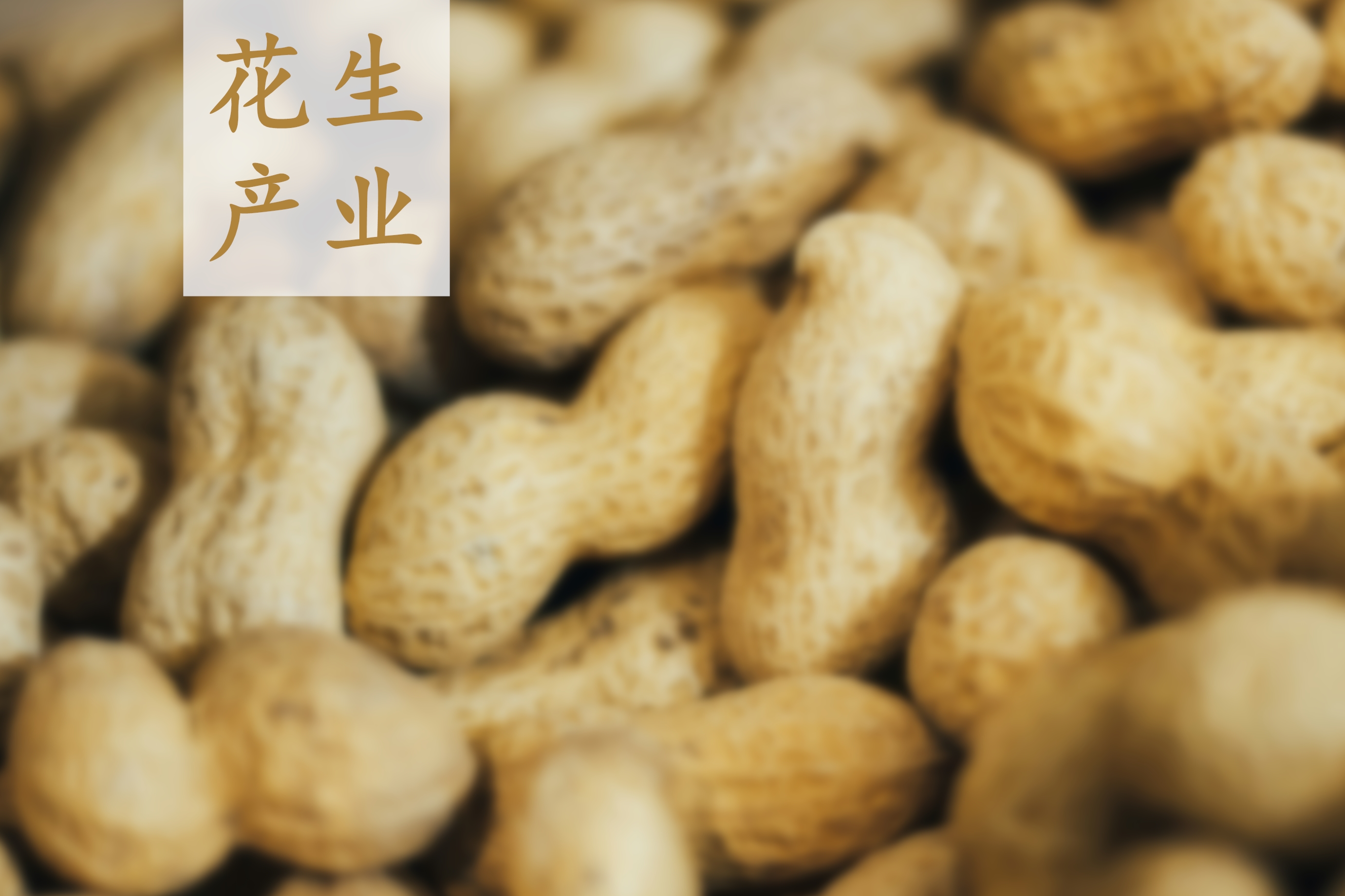 2024中國(guó)花生行業(yè)發(fā)展簡(jiǎn)報(bào)