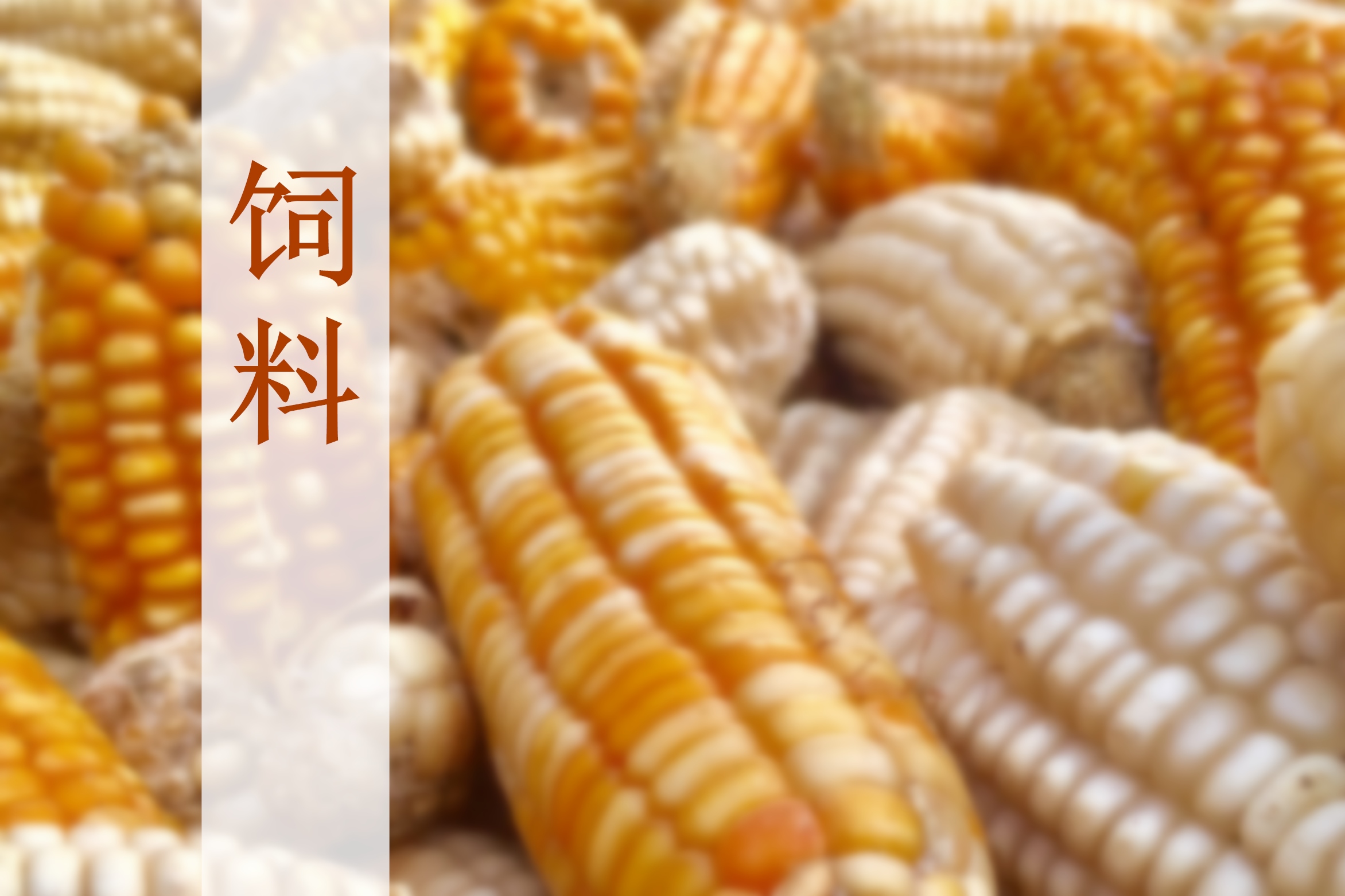 重磅發(fā)布|2024-2025年度中國(guó)飼料行業(yè)發(fā)展與投資分析報(bào)告