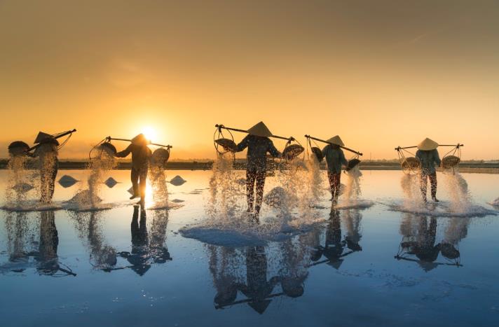 關(guān)于現(xiàn)代農(nóng)業(yè)與生態(tài)農(nóng)業(yè)的13個(gè)真相